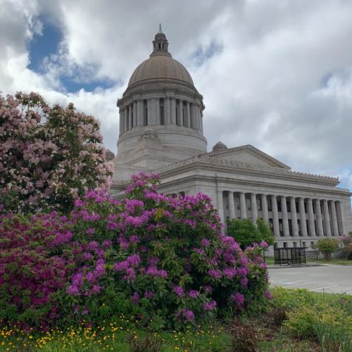 The Washington Capitol building in Olympia with flowers in front.