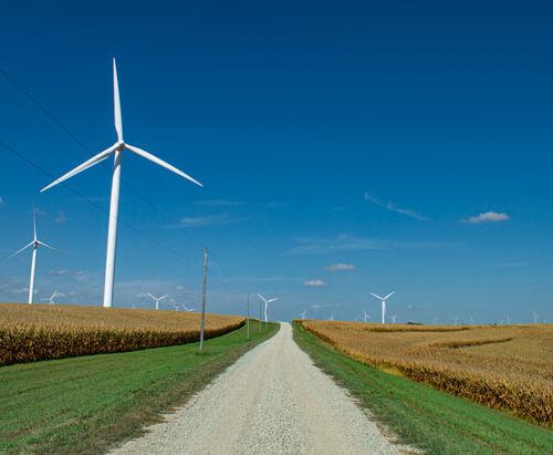 Wind turbines along a rural road. Washington will have to develop renewable energy projects to meet its carbon-free goals. A lot of that development will likely happen in rural areas. (Credit: Roy Harryman, Flickr Creative Commons)