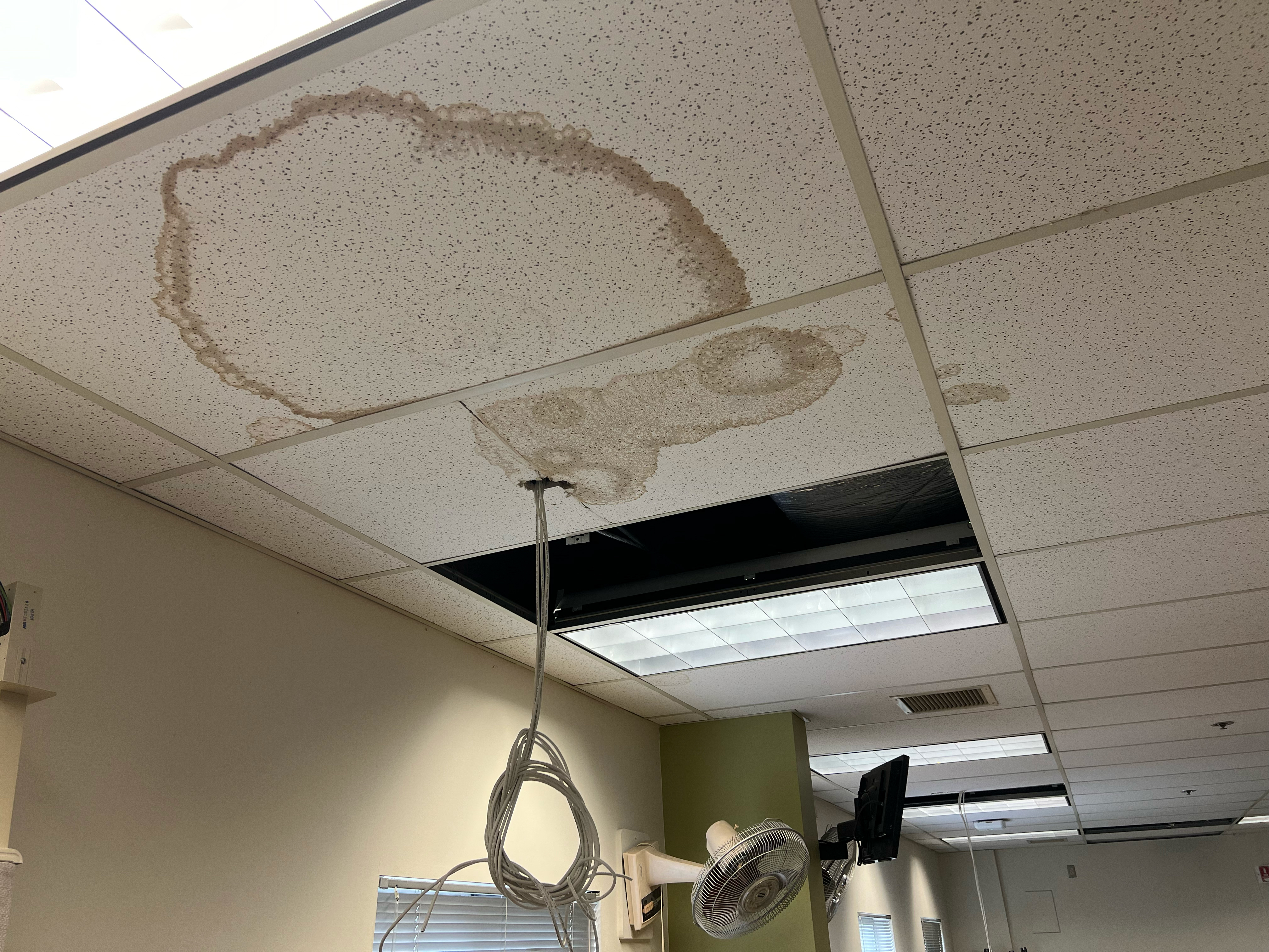 A photo taken by a logistics staffer shows a brown water stained ceiling. According to Douglas Galuszka, chief of logistics who provided the photo dated April 24, 2023, it was taken in Building 18 on the Veterans Affairs Puget Sound Health Care System campus. (Courtesy of Douglas Galuszka)