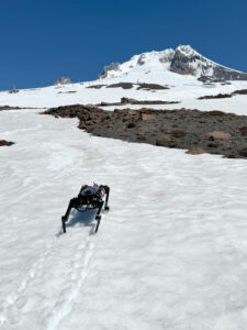 A black dog-like robot is in the middle of the picture. Behind it are its paw prints. In front of it is the summit of Mount Hood and some rocky ground.