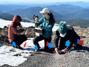 Three woman sit in a line. One is wearing a red jacket. One is kneeling in a green jacket and gray cap. She is holding a black tool that looks like a stick. The third is wearing a green hat and black jacket. In front of them are red and green flags to mark where they are sampling. They are sitting on gray rocks and white snow.