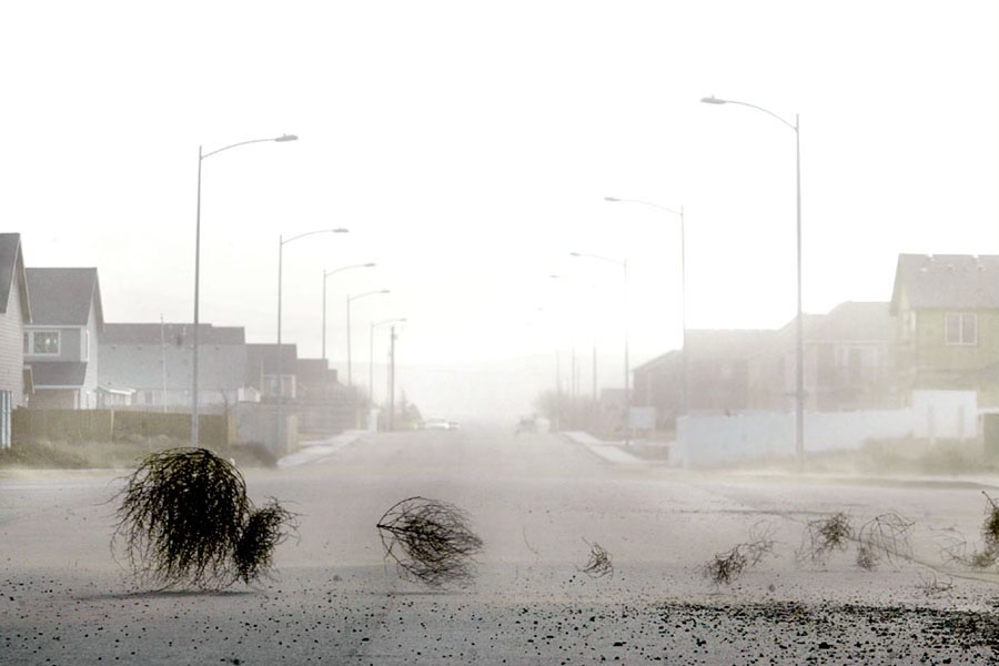 A family of tumbleweeds crosses the road in Pasco in 2006. Tumbleweeds are an iconic part of the Western landscape and are referenced in movies, songs and writings.