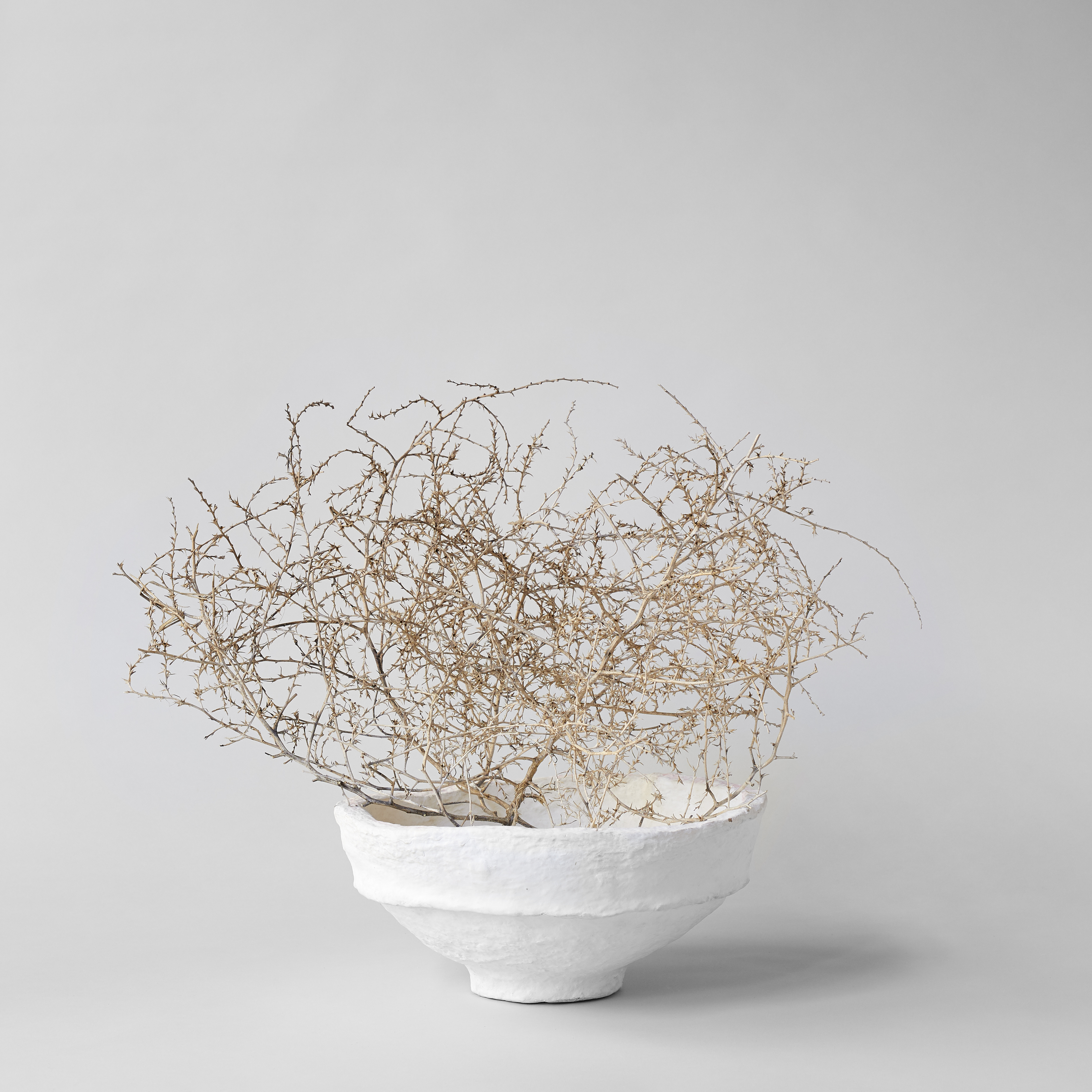 Large tumbleweeds, or Russian thistle, are featured on the popular Bloomist decor website for up to $88, plus shipping.