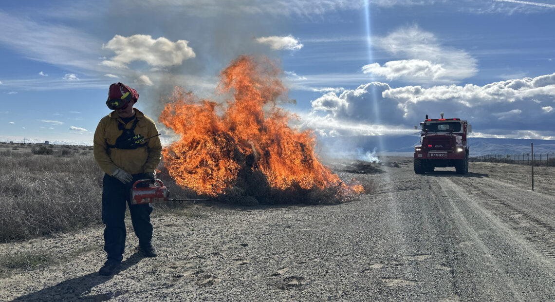 Tumbleweeds are torched at the Hanford cleanup site in southeast Washington in the early part of this year.