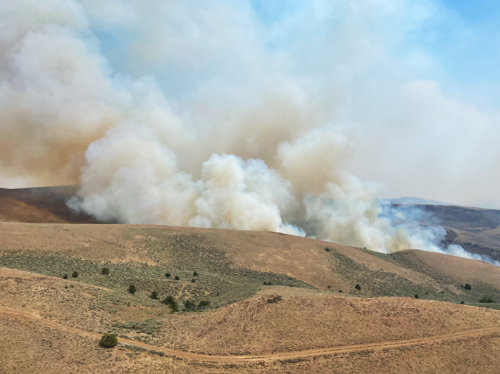 The Cow Valley fire in Oregon on Saturday. 