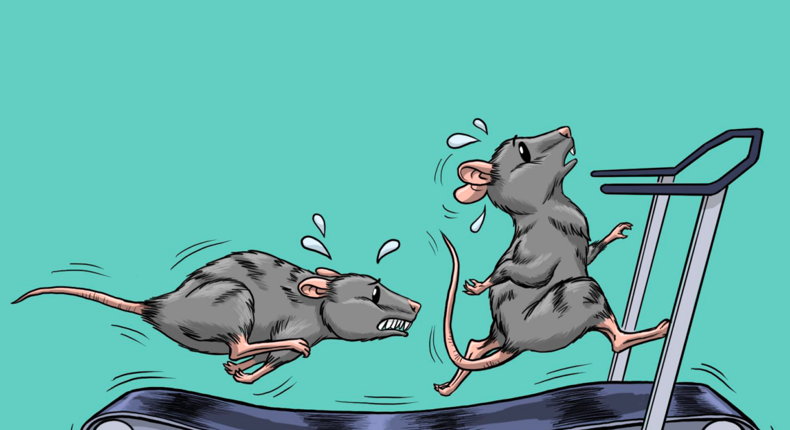 Two gray rats are running on a small black treadmill. The background of the illustration is turquoise.