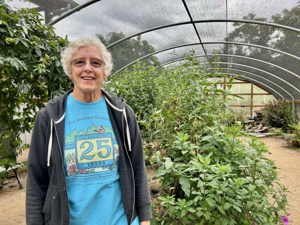 A woman stands in a structure filled with foliage and butterflies.