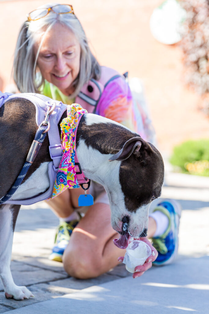 A woman gives a dog a puppy cup.