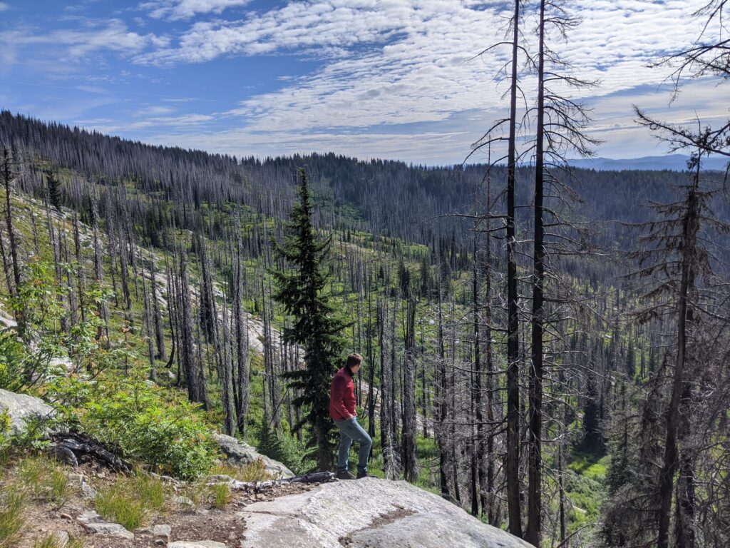 A man in a red sweatshirt and jeans overlooks a mountain peak, staring out into blue mountains and evergreen trees, some tinged black from wildfire.