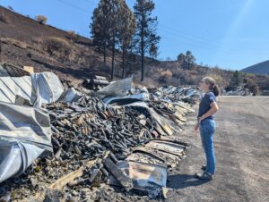 Seorang wanita berbaju biru dan celana jins berdiri di samping tumpukan logam di lereng bukit yang terbakar. 