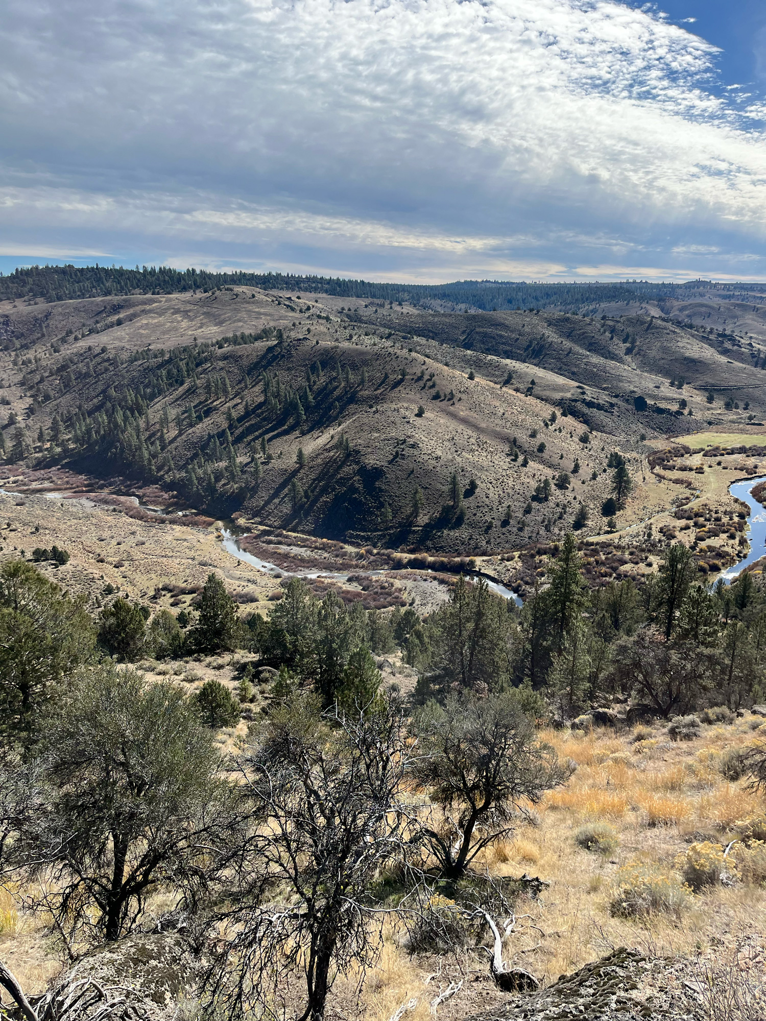 The Silvies River bends around Mitch Baker’s ranch outside of Burns, Oregon. This photo was taken before the Falls Fire turned everything black.