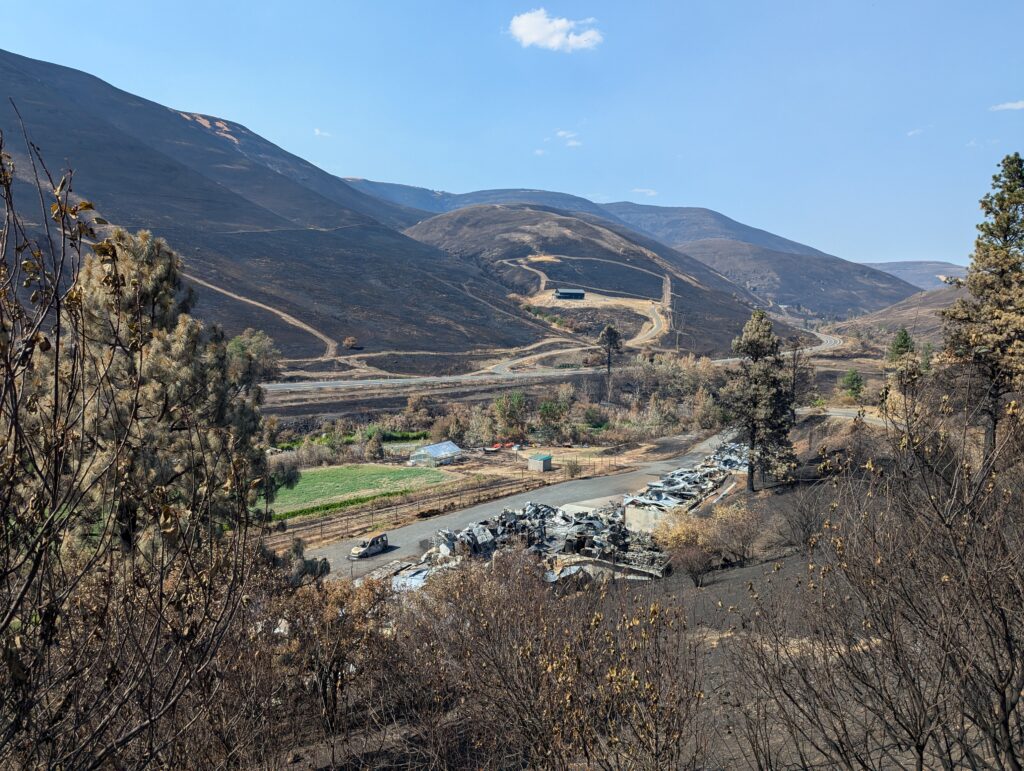 A view from the top of the canyon shows the wreckage of Colter's Creek surrounded by blackened canyon walls and dead trees. 