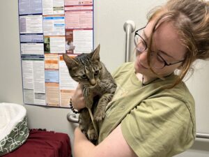 A woman in a green shirt and glasses holds a brown and gray cat in her arms.