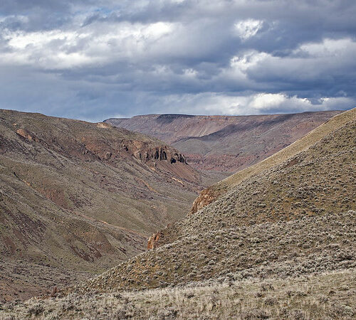 A vast expanse of shrub-steppe habitat is pictured. A blue sky with clouds is pictured above it.