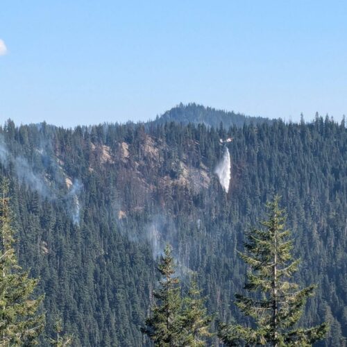 A helicopter drops water on a forest.