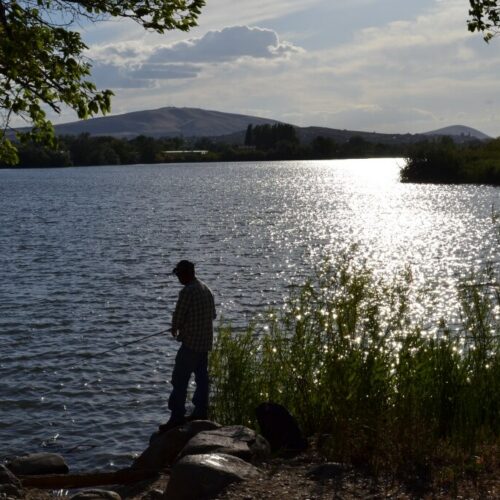 A man is silhouetted holding a fishing pole. There is water in front of him and tall grass behind him. A hill is in the distance. The sun is refelcted on the water.