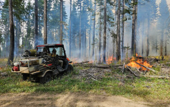 Crews perform a prescribed fire in the Rainwater Wildlife Area near Dayton, Washington.