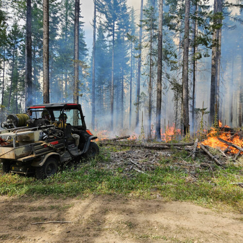 Crews perform a prescribed fire in the Rainwater Wildlife Area near Dayton, Washington.