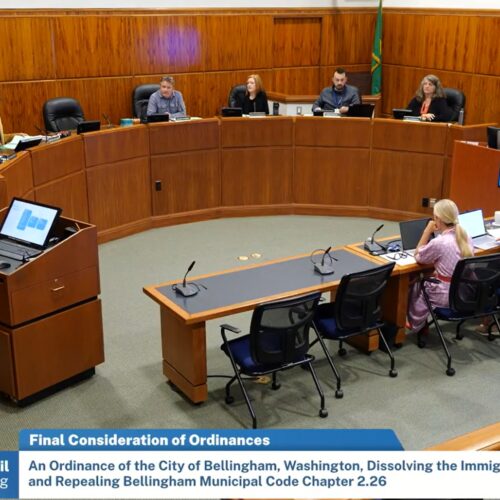 A screenshot of the Bellingham City Council meeting.