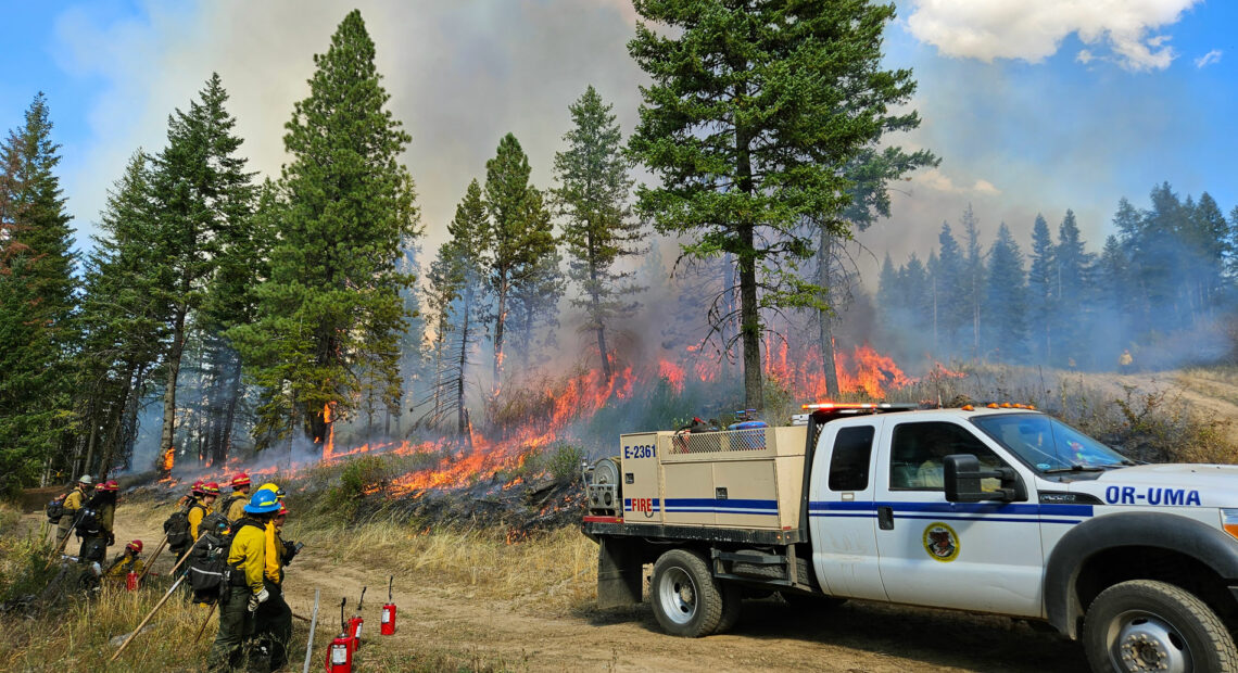 Crews perform a prescribed fire in the Rainwater Wildlife Area near Dayton, Washington. (Credit: Johanna Bejarano / NWPB)