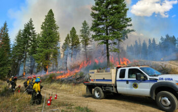 Crews perform a prescribed fire in the Rainwater Wildlife Area near Dayton, Washington. (Credit: Johanna Bejarano / NWPB)