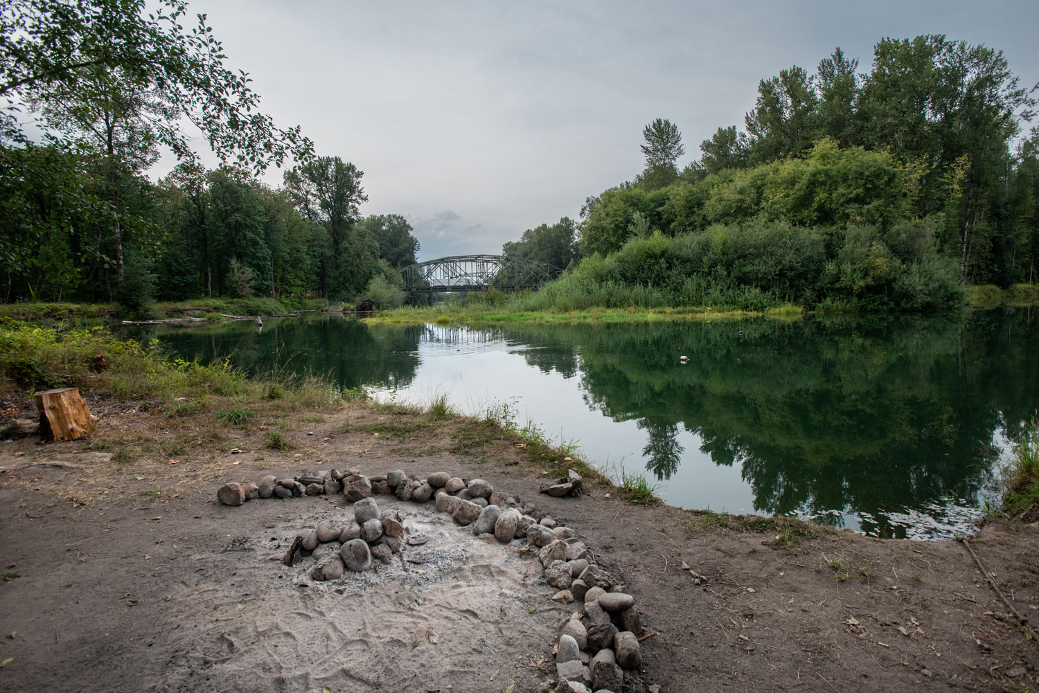 Nisqually River at high tide with trees and a bridge in the distance