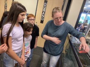 A woman pours salmon eggs into a tank. Several students watch her.