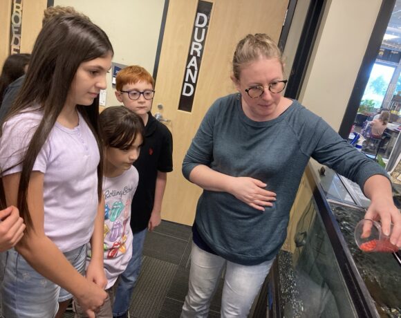 A woman pours salmon eggs into a tank. Several students watch her.