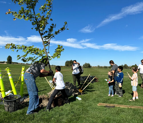 Nirbhuy Arun helps place a tree in a hole. Next, students at Tapteal Elementary School will help pack dirt in the hole. (Credit: Courtney Flatt / NWPB)