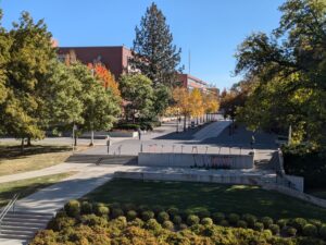 Students walk through a space with cement pathways and green trees on the WSU campus. The sky is blue.