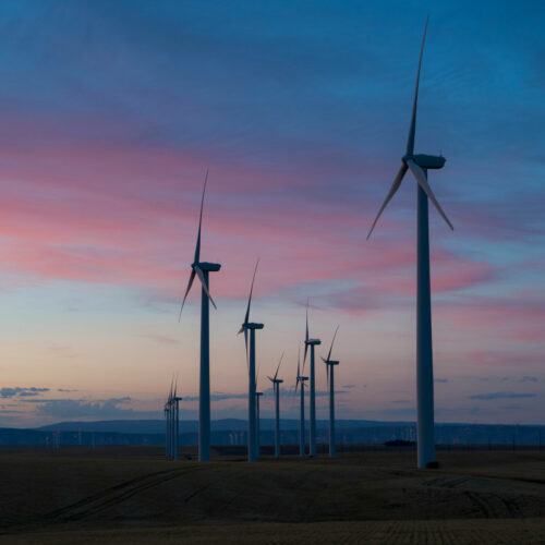 Wind farm in Oregon. (Credit: Dan Meyers / Unsplash).