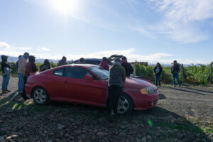 Vineyard workers lean against a red car