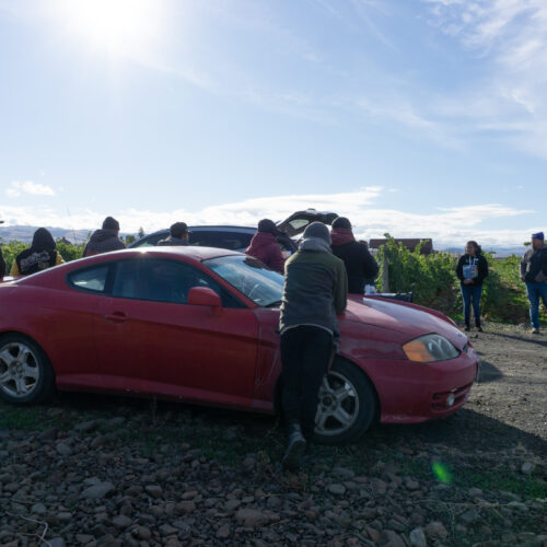 Vineyard workers lean against a red car