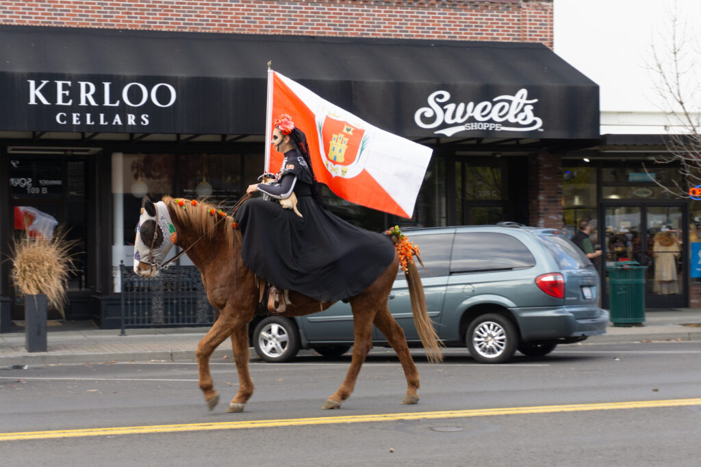 A woman in a black dress rides a brown horse and holds a flag