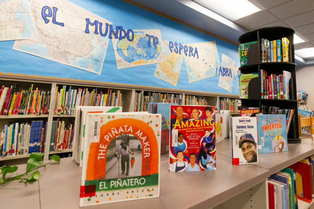 A variety of books are on display in a school library.