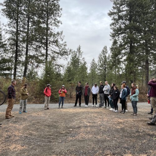 A group of people are gathered in a semi-circle in a forest.