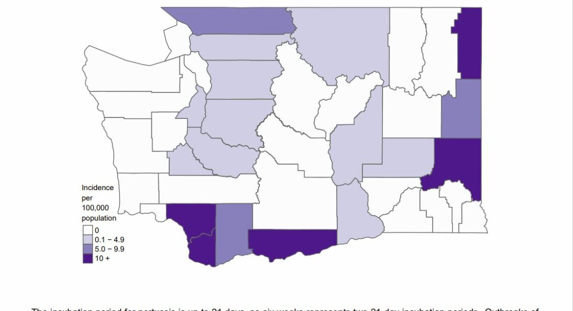 A infographic displays incidence rates of pertussis by county in Washington state.