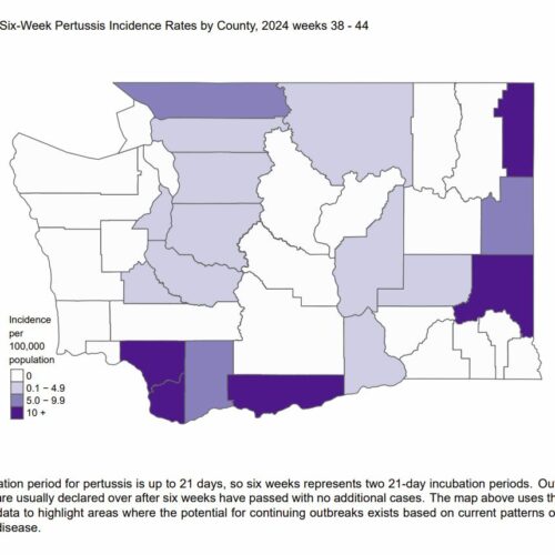 A infographic displays incidence rates of pertussis by county in Washington state.