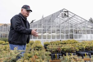 Gasy Chastagner, in a black jacket and hat, stands over small conifer trees in pots with a greenhouse in the backgroud.