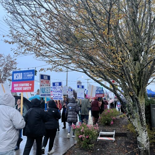 Nurses hold signs that include messages like "safe staffing = patient safety." They are walking on a sidewalk outside on a cloudy day.