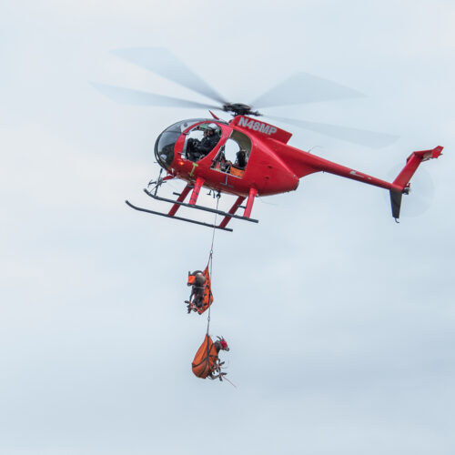 a red helicopter slings bighorn sheep in the air