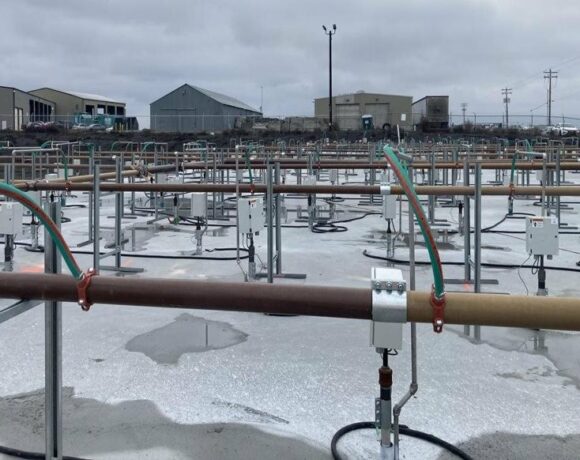 Gold pipes are attached to silver pipes that are sticking into the ground. The rows of pipes go on as far as the picture. There are buildings in the very background. The sky is gray.