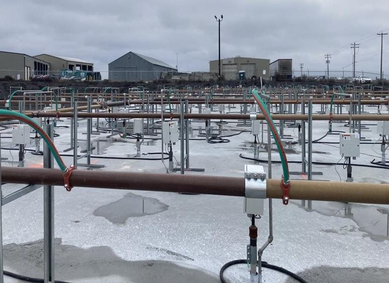 Gold pipes are attached to silver pipes that are sticking into the ground. The rows of pipes go on as far as the picture. There are buildings in the very background. The sky is gray.