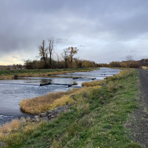 A creek and walking path with green grass and a dark sky.