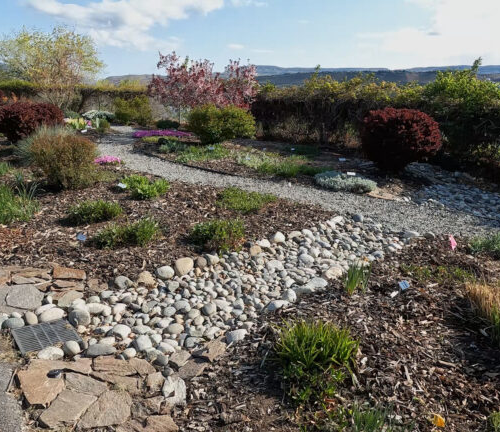 A gravel garden with shrubs surrounding it is pictured. Blue sky is in the background.