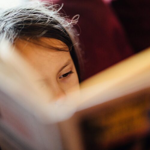 A young child with brown hair holds open a book in a way that obscures most of their face.