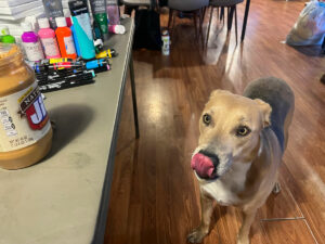 A light brown dog licks its nose. The dog is looking at a jar of Jif peanut butter that's sitting on a counter.