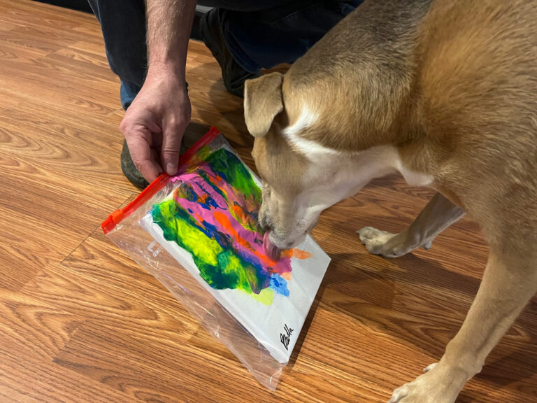 Bella the dog licks a bag covered in peanut butter to make a painting. The painting has bright green, yellow and pink colors on a small canvas.