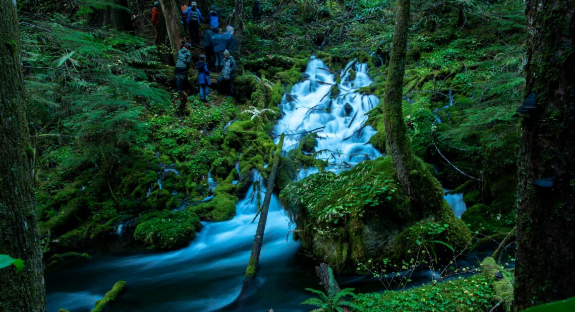 A large mountain spring flows through dark forest greenery. People stand at the top of the spring, all dressed in hiking gear.