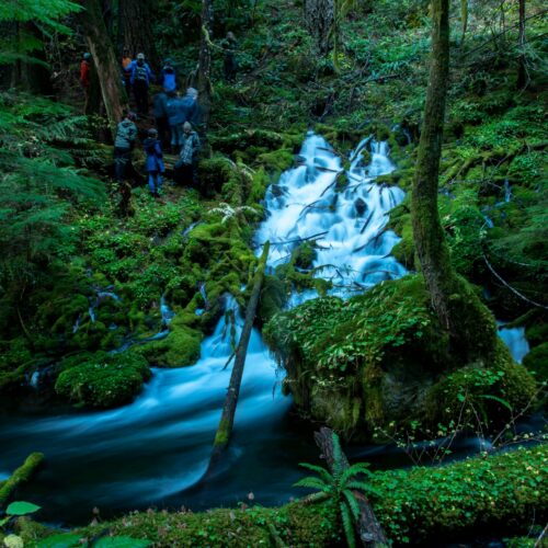 A large mountain spring flows through dark forest greenery. People stand at the top of the spring, all dressed in hiking gear.